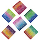 Écharpe Ombré 1