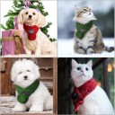 Écharpe pour chiens et chats 4