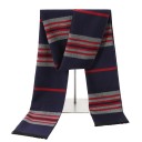 Écharpe pour homme à motif 15
