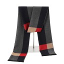 Écharpe pour homme à motif 6