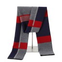 Écharpe pour homme à motif 12