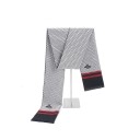 Écharpe pour homme 1