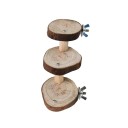 Échelle en bois pour rongeurs C792 2