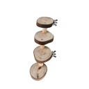 Échelle en bois pour rongeurs C792 3