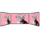 Écran de projection portable pliable 457 cm 180" 16:9 Blanc Doux Haute Densité pour Utilisation Intérieure et Extérieure Laser 4