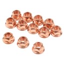 Écrou en cuivre M8 12 pcs 6