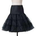 Ein Petticoat unter einem Rock oder Kleid 1