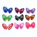 Elastikker til hunde med butterfly 12 stk. 1