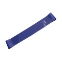 Elastisk sportsgummibånd 4-6 kg 3