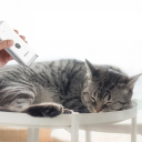 Electric Pet Hair Clipper 45 x 30 x 122 mm 2 Attachments USB Charging 90 min Usage Stainless Steel ABS 6