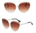 Elegant Women's Sunglasses J658 12