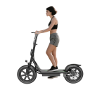 Elektrická koloběžka ESBS Pro, 500W, dojezd 100 km, rychlost 35 km/h, baterie 54.6V 22.5Ah, 14" kola, sedátko, košík, nosnost 120 kg, černá 5