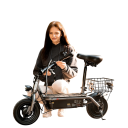 Elektrická koloběžka F2 se sedátkem, motor 500W, baterie 36V 7,8Ah, 10palcová kola, dojezd 30 km, nosnost 120 kg, skládací, černá 3
