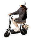 Elektrická koloběžka F2 se sedátkem, motor 500W, baterie 36V 7,8Ah, 10palcová kola, dojezd 30 km, nosnost 120 kg, skládací, černá 7