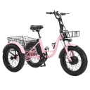 Elektrická tříkolka pro dospělé Motor 500 W Rychlost 25 km/h Dojezd 35-40 km Baterie 13 Ah Široké pneumatiky Rozměry 185 x 120 cm Na nákupy 2