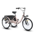 Elektrická tříkolka s nákladním košem Motor 250 W Rychlost 20 km/h Dojezd 35 km Baterie 13 Ah Kola 24 palců 7 rychlostí Rozměry 175 x 110 cm 3