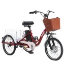 Elektrická tříkolka se dvěma koši Motor 350 W Rychlost 25 km/h Dojezd 40 km Baterie 48 V 12 Ah Kola 20 palců Rozměry 163 x 110 cm Do města 1