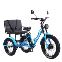 Elektrická tříkolka se sedačkou Motor 750 W Rychlost 25 km/h Dojezd 35-40 km Baterie 48 V 18 Ah Kola 24 palců Rozměry 203 x 125 cm Do města 2