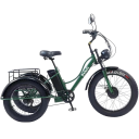 Elektrická tříkolka se širokými pneumatikami Motor 750 W Rychlost 25 km/h Dojezd 35-40 km Baterie 48 V 18 Ah Kotoučová brzda Nákladní koš 1