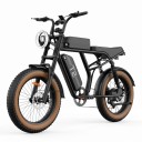 Elektrisches Fahrrad URLIFE T2 Fat Bike Herausnehmbare Batterie 48 V 15,6 Ah Shimano Schaltung Farb-LCD-Display Scheibenbremsen Für Gelände 2