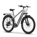 Elektrisches Geländefahrrad JOOBIKE JOO2 Batterie 48 V 16 Ah Shimano 7 Gänge Reifen 29 x 2,25 Zoll Farb-LCD-Display Grau Fürs Gelände 2