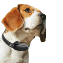 Elektrisches Hundetrainingshalsband mit Fernbedienung, IPX7, wasserdicht, Vibration, Anti-Bell-Schockhalsband für das Hundetraining 2