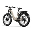 Elektrofahrrad für Erwachsene mit 3,5" Display 2000W Zwei Motoren 48V 17,5Ah 840Wh 2 Sitze 7 Gänge Steigung 40° 2