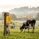 Elektromos kerítés tápegység két kijelzővel, hatótávolság 12 km, kimenet 8–12 kV, bemenet 12 V, sárga tápegység szarvasmarha és ló legelőhöz 2