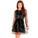 Embroidered Mini Dress 1