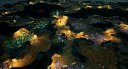 Empires of the Undergrowth Steam Fiók 3