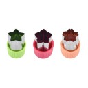 Emporte-pièces pour légumes et fruits 3 pcs 6