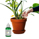 Engrais liquide pour plantes soutenant la croissance 50 ml Préparation concentrée dans une bouteille Nutrition verte pour plantes d'intérieur 2
