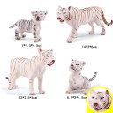Ensemble d'animaux tigres blancs 4 pcs 2