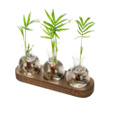 Ensemble de 3 vases en forme de bulbe 9 cm Socle en bois 24 x 7 x 2,5 cm Vase hydroponique pour la multiplication des plantes Verre et bois décoration 1