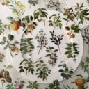Ensemble de 40 autocollants avec des motifs de fruits et de plantes sur des autocollants en plastique transparent pour des projets créatifs 1