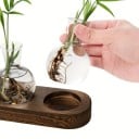 Ensemble de 5 vases hydroponiques de 9 cm en forme de bulle Socle en bois 36,5 x 7 x 2,5 cm Terrarium en verre pour la multiplication des plantes 5