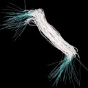 Ensemble de fils à dent 50 pcs pour appareils dentaires et nettoyage interdentaire en fibre plastique finition blanche pour l'hygiène buccale 2