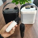 Ensemble de karaoké haut-parleur Bluetooth 16,8 x 13,9 x 17,1 cm 100 W 360° stéréo étanche avec 2 microphones sans fil 4