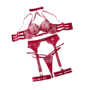 Ensemble de lingerie en dentelle pour femmes avec des bandes et des éléments de porte-jarretelles, soutien-gorge et culottes en polyester pour un usage quotidien 2