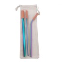 Ensemble de pailles en acier inoxydable avec étui 3 pcs 13
