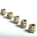Ensemble de pots de fleurs en forme de hibou 5 pcs 2
