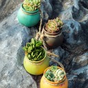 Ensemble de pots de fleurs suspendus 4 pcs 2