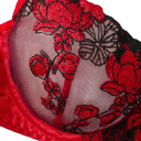 Ensemble en dentelle pour femmes, soutien-gorge et culottes avec broderie florale, élasthanne polyester rouge pour un usage quotidien, lingerie 2
