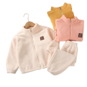 Ensemble unisexe pour enfants Sweat à capuche zippé avec col roulé et pantalon en peluche 2