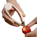 Éplucheur à fruits 1
