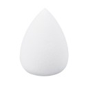 Éponge de maquillage professionnelle 2