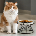 Erhöbener Keramiknapf für Katzen mit Pfotenillustration 15 x 2,5 cm Edelstahlhalter Höhe 10 cm Ergonomischer Futterspender für Katzen 2