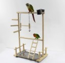 Escalada para aves 2