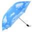 Esernyő a tiszta ég mintájával 11