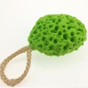 Esponja de Limpeza C20 5